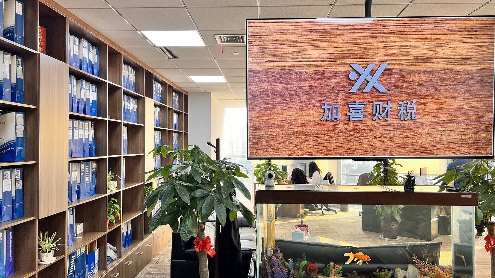 Дружелюбен ли Шанхай, Китай к иностранцам, регистрирующим компании?